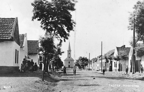 Die Untere Hauptstraße in Tadten vor 1945