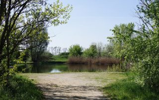 Natur am Gemeindeteich Tadten